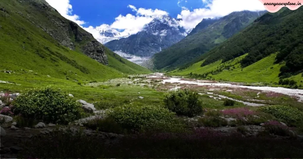 वैली ऑफ फ्लावर्स: 1 जून से खुलेगी फूलों की स्वर्गीय घाटी, इस साल जाने का प्लान बनाएं! 1 वैली ऑफ फ्लावर्स