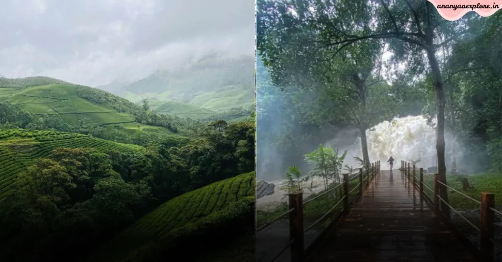 बारिश का जमकर मज़ा लेना है? तो मुन्नार की इन 5 जादुई जगहों पर जाना न भूलें! 1 मुन्नार